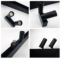 ECOJAS Spot35-T 2*5W Projecteur magnétique double tête de haute qualité