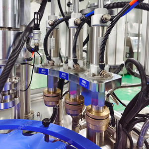 Lienm tùy chỉnh tự động BOV phun sơn Aerosol điền máy và niêm phong máy Aerosol van Uốn Tóc bồng - Product Image 5