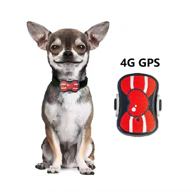 4g Mini Pets Mascotas De Locator Rastreador Collar Pour Chien Para Perros Cat Hunting Dog Pet Trackers Gps Tracker for Dogs Cats