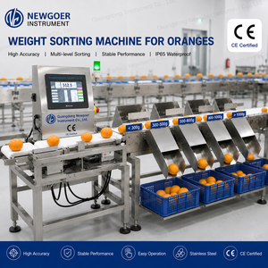 Auto Conveyor Belt Weight Sorting Machine for Orange Processing NG-709-6 Industrial Conveyor Belt Multihead Weigher With Grading - Product Image 1