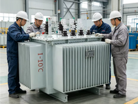 Transformateurs immergés dans l'huile 30 kVA 10 kV triphasés 50/60 Hz avec sortie 0,4 kV, structure fiable, fournis par l'usine SinoShine
