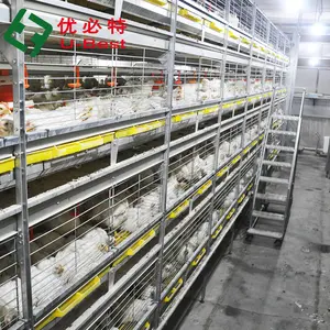 Vendita calda 5000-80000 uccelli raccolta automatica gabbia batteria per polli da carne con piano di costruzione