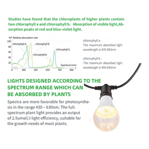 Bombilla LED de Cultivo de Espectro Completo de 12W 15W IP65 Impermeable con Soportes E27 y Cables para Floración de Frutas como el <span class=keywords><strong>Pitahaya</strong></span> en Granjas, Venta al por Mayor - Product Image 4