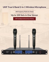 Kit combiné amplificateur/microphone pour salle de réunion professionnelle SHILE AV108 BX119, système audio de divertissement KTV à domicile