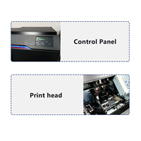Impresora Roland ER642 Automática de Rollo a Rollo, Nueva y Original, con Cabezales I3200, Ancho de Impresión de 1.6m, Plotter para Impresión de Pancartas