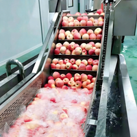 Avocado Kokosnoot Ananas Fruit Groente Was- en Verwerkingsmachine met Sterilisatie Continue Transport Multifunctioneel