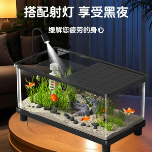 Acuario de escritorio rectangular para peces dorados con bomba de filtro y luz LED para decoración del hogar u oficina - Product Image 3