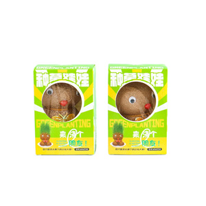 Muñeco de Plantas Verdes en Maceta, Linda Decoración de Escritorio, Regalo de Oficina, Artesanía Hecha a Mano - Product Image 5
