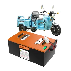 Triciclo eléctrico personalizado, batería de litio, 48V, 60Ah, lifepo4