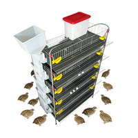 Cage d'élevage automatique de type H pour cailles avec mangeoire pour l'élevage commercial de volailles pondeuses