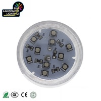 Pas cher préprogrammé 45mm E14 LED carnaval ampoule automatique point de divertissement lumières pour parc à thème IP65 corps de lampe en plastique