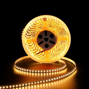 SMD2835 120LED 12V 24V Led Strip Light High Lumen 3000K 4000K 6000K RGBW Color Customized Length 5m 10m Per <b>Roll</b> - Product Image 1