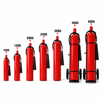 Extincteur portable en acier allié CO2 de 45 kg, certifié CE, avec personnalisation OEM pour la sécurité incendie des entrepôts et des installations industrielles