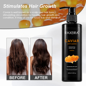 Acondicionador Capilar Rizado con <span class=keywords><strong>Caviar</strong></span> a Precio <span class=keywords><strong>de</strong></span> Fábrica, Repara el Cabello Dañado, Calma la Picazón y la Sequedad del Cuero Cabelludo, Desenreda y Humecta - Product Image 5