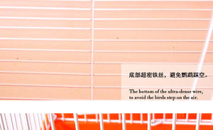 Pet ürünleri yuvarlak üst ekonomi Parakeet ve beyaz tel ile küçük kuş kafesi, çıkarılabilir tepsi ile mavi plastik taban - Product Image 3