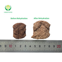 Pemasok Protein berbasis tanaman non-gmo Simulates daging 60% kandungan rendah lemak bertekstur Protein sayuran sebagai daging Vegetarian
