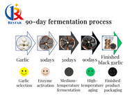 Machine intelligente automatique de fermentation d'ail noir Régulation de l'humidité AI Équipement de fermentation d'ail noir Composants de noyau PLC