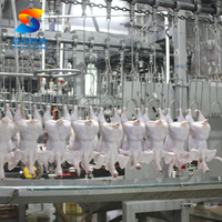 Équipement d'abattage d'usine de traitement de poulet de volaille 500-13000BPH