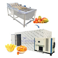 Volautomatische Mango Abrikoos Druiven Fruit En Groente Droger Gedroogde Vruchten Rozijnen Wasdroger Machine Productielijn