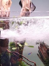 Jingye Best-seller <span class=keywords><strong>Petit</strong></span> système de filtre à eau moderne 3 en 1 pour aquariums Filtres internes en plastique Séparateur fécal 220v <span class=keywords><strong>Poisson</strong></span> - Product Image 6