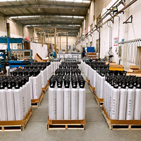 Цилиндр с углекислым газом, 20 фунтов