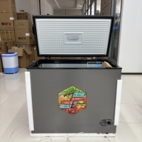 Réfrigérateur solaire OEM 289L grande capacité avec panneaux solaires et batteries, congélateur profond pour réfrigérateur domestique