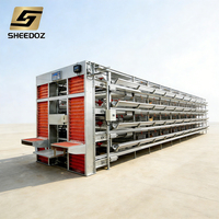 Système d'alimentation automatique complet pour poules pondeuses en cages, type H, avec distribution d'eau et de nourriture automatique