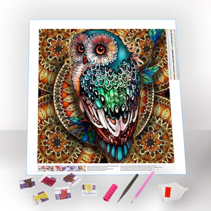 Sơn kim cương tùy chỉnh Owl vuông hoặc vòng kim cương khảm Sơn Tự làm đầy đủ Khoan động vật 5D kim cương Bộ dụng cụ sơn - Product Image 1