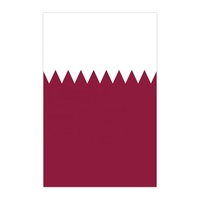 Ventes directes des fabricants 14*21cm Drapeaux à cordes du Qatar pour les fans Décoration de vacances