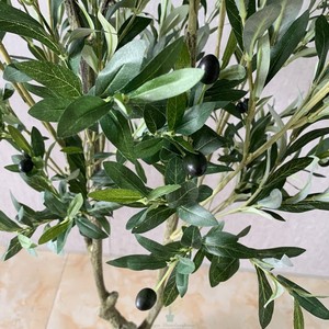 Le 2024 Top Vente de Haute Qualité <span class=keywords><strong>Oliver</strong></span> Tree En Gros Artificiel Voyageur Arbre pour la Décoration Intérieure De 60cm à 240cm - Product Image 3