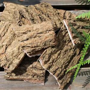 Du Zhong中国の天然ハーブ乾燥したEucommia Bark Eucommia Ulmoidesスライスハーブ - Product Image 4