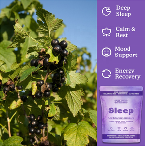 OEM Private Label Sleep Gummies With Mushroom Melatonin and L-Theanine Helps the Body Ease Into Sleep - Product Image 3
