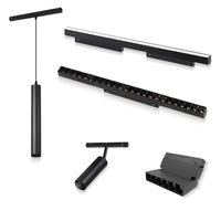 Rail magnétique basse tension pour éclairage LED, rail magnétique linéaire 48V, éclairage LED COB sur rail pour magasins de vêtements