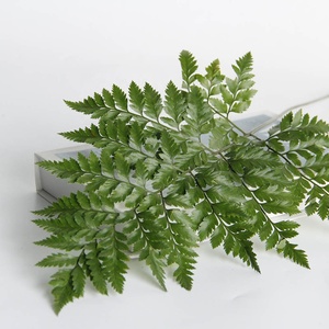 Petites feuilles de fougère préservées, colorées et attrayantes, avec tige, pour la décoration florale de jardin et de Noël - Product Image 3