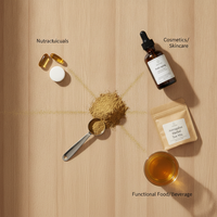 Astragaloside IV standardisé 5% 10% 20% 98% Extrait de racine d'astragale en poudre Matière végétale naturelle CAS 84687-43-4