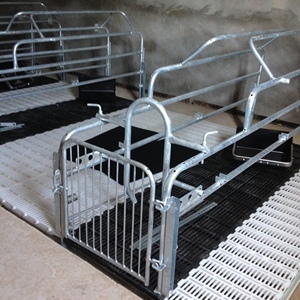 Paridera para Cerdas de Granja, Galvanizada, con Suelo de Hierro Fundido - Product Image 2