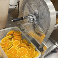 Trancheuse automatique électrique commerciale pour pommes de terre, légumes, gingembre et oignons, idéale pour les petites entreprises de cuisine