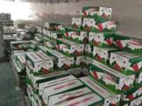 Nouvelle récolte de légumes frais de Chine en gros : Carottes chinoises en vrac, graines de carottes, prix frais pour l'exportation