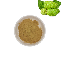 100% Zuiver Natuurlijk Fruitpoeder Noni Fruitextract Poeder Spraygedroogd Noni Fruitpoeder