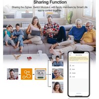 Relais de surveillance de puissance intelligent - Module Zigbee 16A pour l'automatisation de l'éclairage