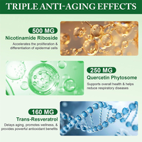 Capsules de supplément NAD Resvératrol 500mg à marque privée OEM avec Quercétine Phytosome pour soutenir les niveaux de NAD et favoriser un vieillissement sain