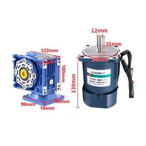 60W speed regulating motor Equipped with rv40 worm gear reducer 220v AC High torque electric motor