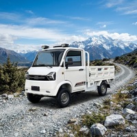 Mini-fourgon électrique homologué pour la route (LHD) – Vitesse réglable 25-45 km/h pour usage senior et commercial