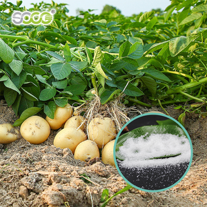 Penstabilan Tanah Polimer, Penelitian dan Pengembangan Poliakrilat Kalium Pertanian untuk Meningkatkan Produksi Buah - Product Image 1