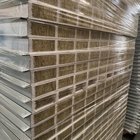 Panneau sandwich métallique isolé thermiquement pour salle blanche, système de cloison modulaire léger, 100 kg, haute qualité, design moderne
