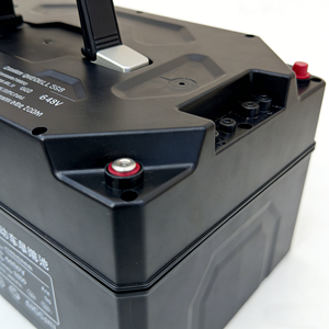Wholesale <b>48V</b> 30Ah <b>Battery</b> Pack for Tricycles From Manufacturer - Product Image 1