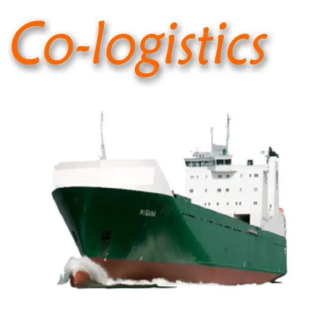 中国から北米ヨーロッパ東南アジア日本へのプロの海上貨物運送業者