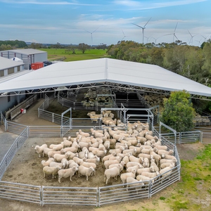 Automatic Sheep Shed com Feeding Trough & Watering System - Reduce Labor Cost