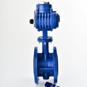 Válvula de Hierro Fundido PN16 con Sello Suave D941X de 2"-80", Venta Directa de Fábrica, para Agua, Gas, Petróleo y Energía - Product Image 4