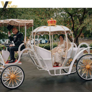 OEM Victoria Horse Carriage Sightseeing Electric Horse Wagon Romantic Electric Horseless Cinderella Cart - Product Image 2
